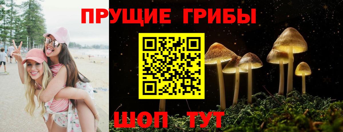 Галлюциногенные грибы GOLDEN TEACHER Моздок